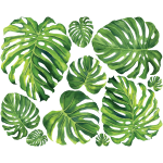Sticker nature feuilles tropicales verdoyantes