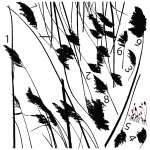 Sticker nature roseaux se balanant dans le vent