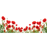Sticker occultant et privatif pour fentre 100 x 40 cm coquelicots