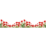 Sticker occultant et privatif pour fentre 2 mtres x 40 cm coquelicots