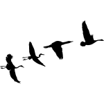 Sticker oiseaux migrateurs