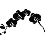 Sticker orchide