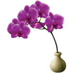 Sticker orchide glamour