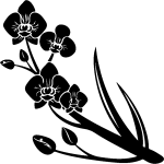 Sticker orchide sduisante