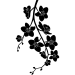 Sticker orchides sur branche