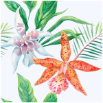 Sticker papier peint tropical les orchides