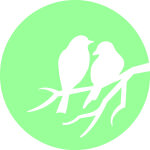Sticker phosphorescent lune avec des oiseaux Sticker phosphorescent lune avec des oiseaux