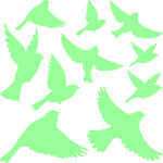 Sticker phosphorescent oiseaux Sticker phosphorescent oiseaux