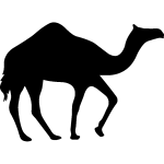 Sticker silhouette chameau sauvage