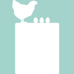 Sticker tableau blanc poule avec ses oeufs