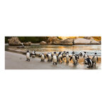 Sticker tête de lit design pingouin au bord d'un lac Sticker tête de lit design pingouin au bord d'un lac