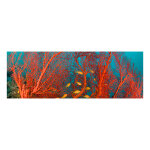 Sticker tête de lit design plantes sous - marines Sticker tête de lit design plantes sous - marines