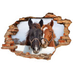 Sticker trompe l'oeil un amour de chevaux