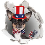 Sticker trompe l'oeil chihuahua amricain