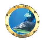 Sticker trompe l'oeil requin