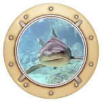 Sticker trompe l'oeil requin design Sticker trompe l'oeil requin design