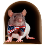 Sticker trompe l'oeil trou de souris  l'amricaine