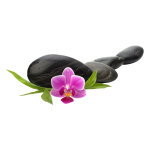 Sticker zen galets avec orchidée Sticker zen galets avec orchidée