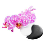 Sticker zen orchide et cailloux