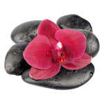 Sticker zen rouge sur fond noir Sticker zen rouge sur fond noir