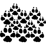 Traces de pas de chiens