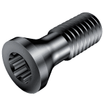 Vis torx