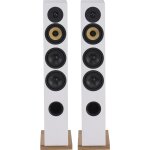 Davis acoustics courbet n°5 blanc mat (lot de 2) Davis acoustics courbet n°5 blanc mat (lot de 2)
