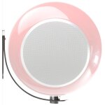 Elipson support mural pour planet l