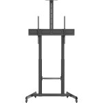 Norstone pro vision max Norstone pro vision max