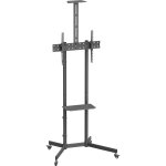 Norstone pro vision one