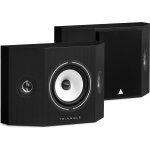 Triangle brs1 noir (lot de 2)