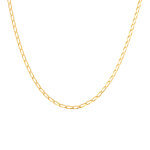 Chaine maille cheval