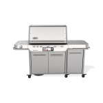 Barbecue  gaz connect summit fs38x s
