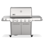 Barbecue  gaz summit fs38 s