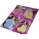 Cadre disney princesse 223 0259925 8010879052088 d�coration disney princess mod�le 1 mod�le 2