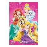 Plaid polaire disney princess palace pets 825 720 - 162 5991327201629 plaids - couverture disney princess ...