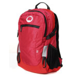 Sac  dos ordinateur delsey nomade s 13 pouces pivoine rose