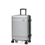 Valise rigide horizon paddle 65 cm silver gris