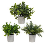 Alba plantes feuillage vert - arbustes artificiels en pot pour dcoration intrieur - hauteur 20 cm - ...