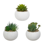 Alba plantes succulentes - plantes grasses artificielles en pot pour dcoration intrieur - lot de 3
