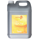 Anios dsinfectant multi - usages nettoyant anios' r sun way 5 l