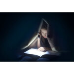 Ansmann lampe de poche led, daily use 300b, argent / noir