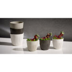 Aps bol lineo, 180 ml, set de 6, marron