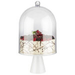 Aps cloche de conservation super dome, diamtre: 300 mm