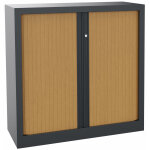 Armoire à rideaux métal monobloc natura nf - h. 100 x l. 100 cm - corps anthracite - rideaux hêtre Armoire à rideaux métal monobloc natura nf - h. 100 x l. 100 cm - corps anthracite - rideaux hêtre