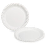 Assiette ronde en carton 23 cm - blanc - lot de 100 Assiette ronde en carton 23 cm - blanc - lot de 100