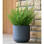 Bac � plantes volcania up, rond, 385 mm, beige