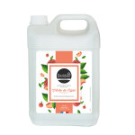 Boldair savon liquide pche bidon 5l