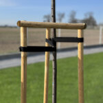 Bande de ligature pour arbres, pp, 50 mm x 25 m, noir