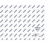 Canson papier aquarelle 'montval', 200 g / m2, 500 x 650 mm